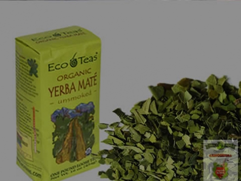 Erva Mate: Chá saudável na América do Norte!