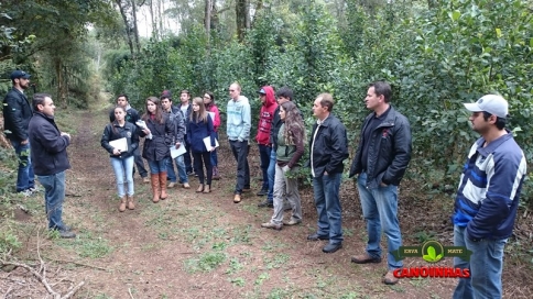 Aula prática na Floresta de Erva Mate.